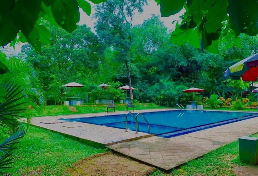 Bed and Breakfast Dudley Nature Resort