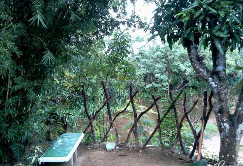 住宿加早餐  Eco Villa   Sinharaja