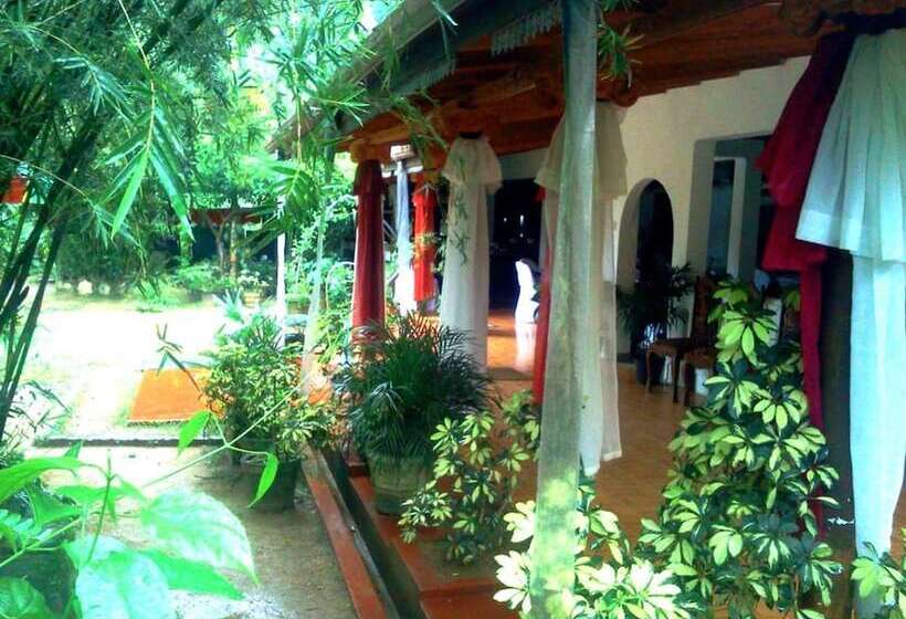 住宿加早餐  Eco Villa   Sinharaja