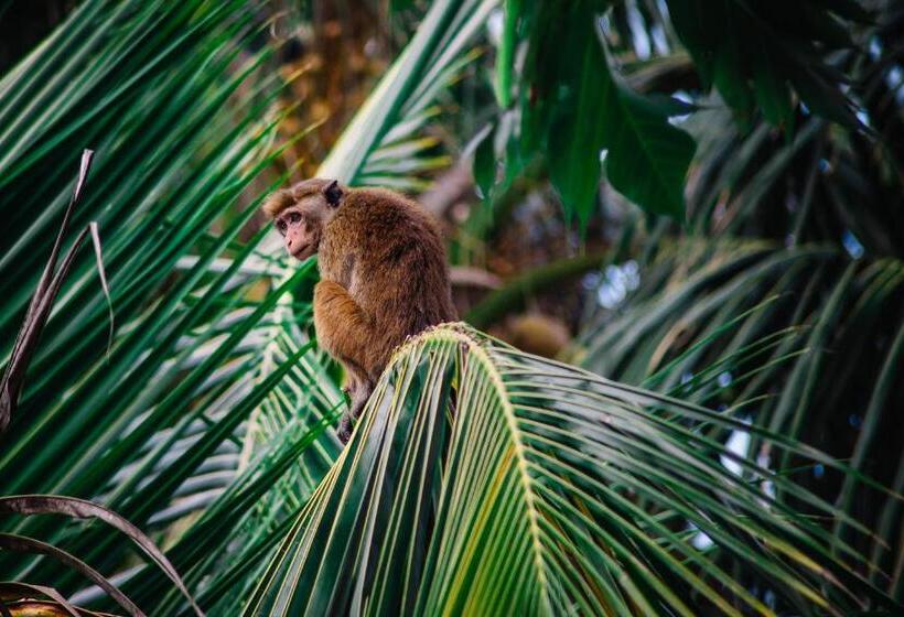 민박 Kadolana Guest House