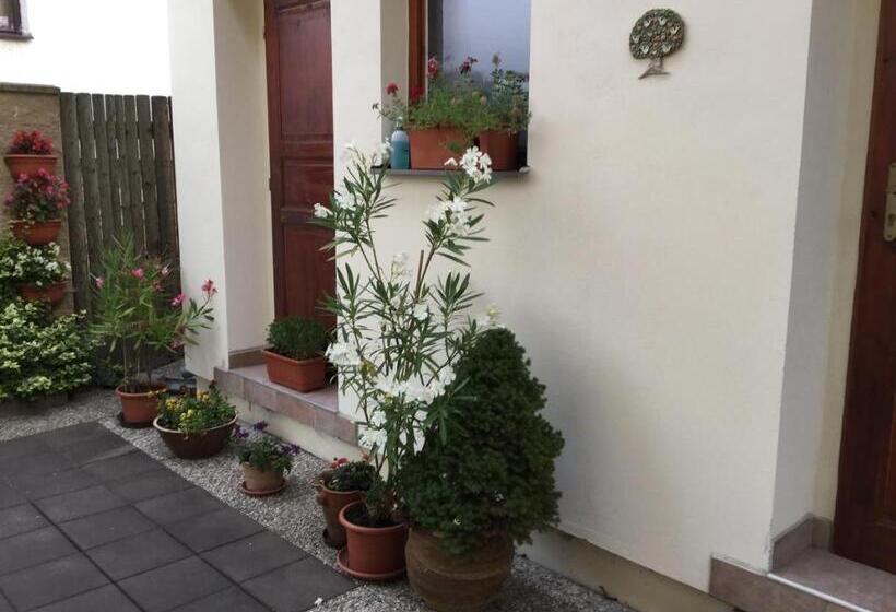 Bed and Breakfast Pension 325