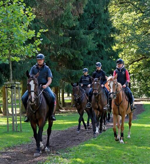 ベッドアンドブレックファースト Penzion Dobré časy