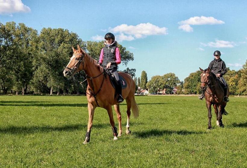 ベッドアンドブレックファースト Penzion Dobré časy