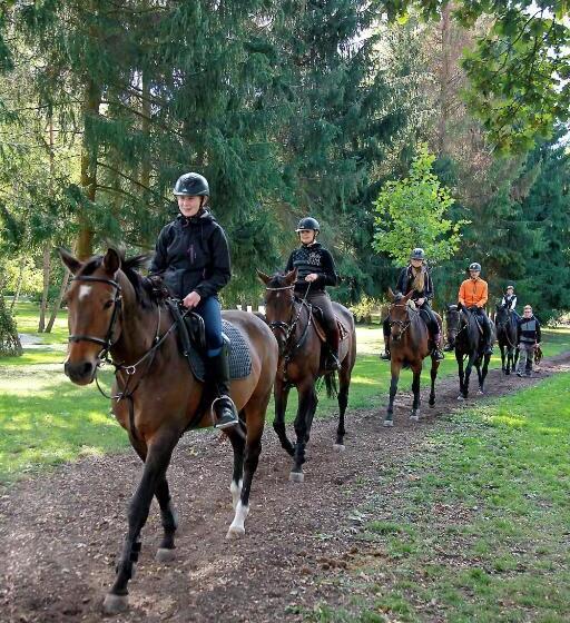 ベッドアンドブレックファースト Penzion Dobré časy