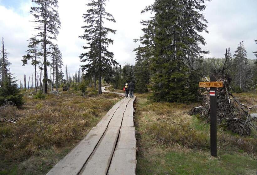 تختخواب و صبحانه Previt Janek