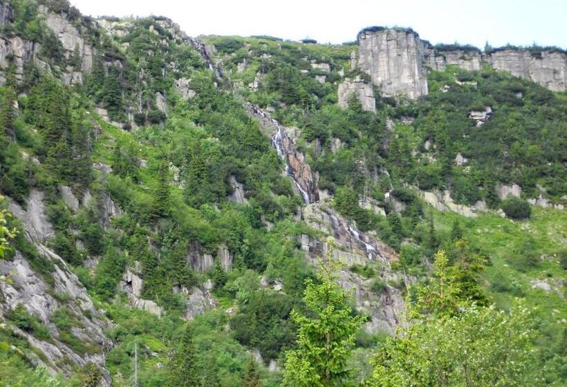 تختخواب و صبحانه Previt Janek