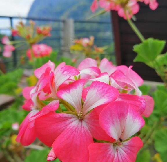 Bed and Breakfast Zion View Ella Green Retreat