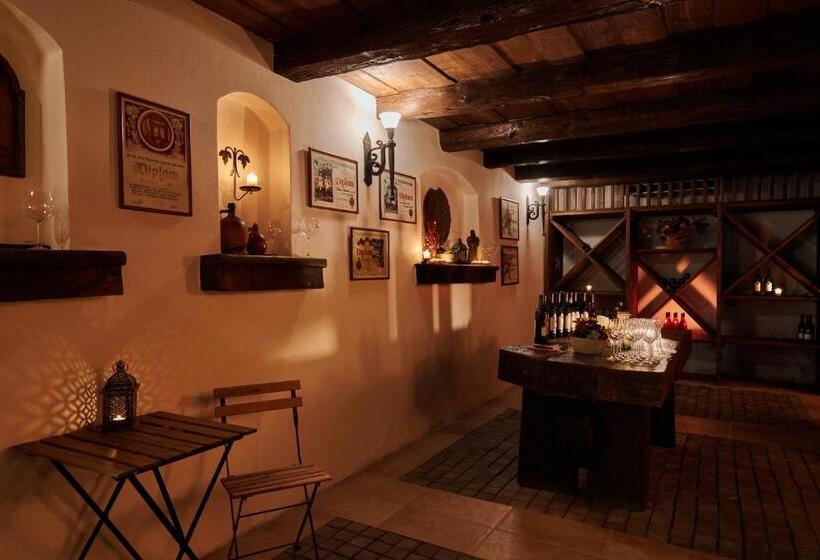 酒店 Akademie A Depandance Vila Jarmila