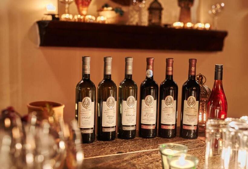 酒店 Akademie A Depandance Vila Jarmila