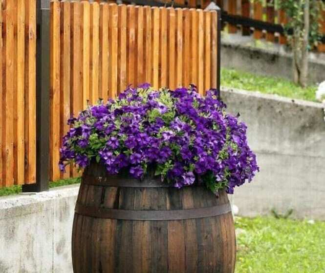 ホテル Al Sole Albergo Ristorante