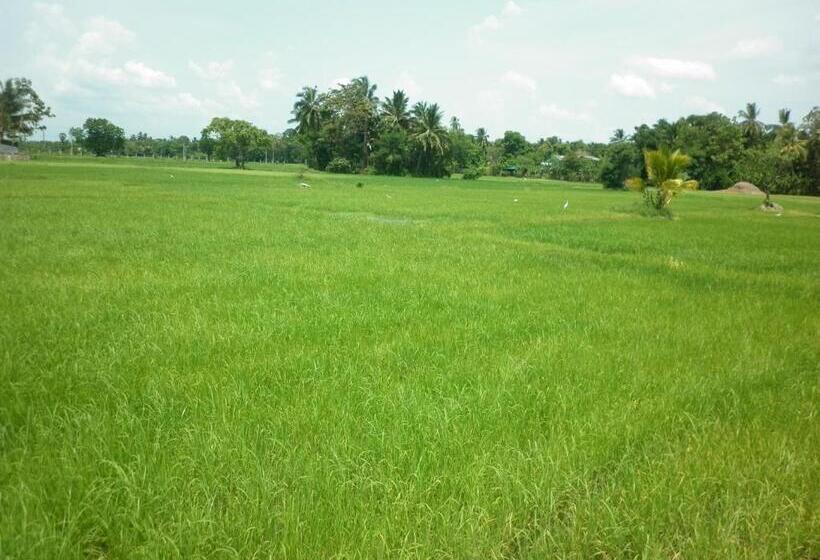 Отель Ancient Village