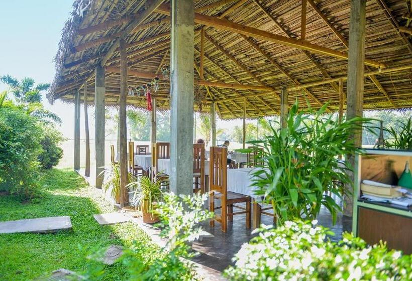 Отель Ancient Village