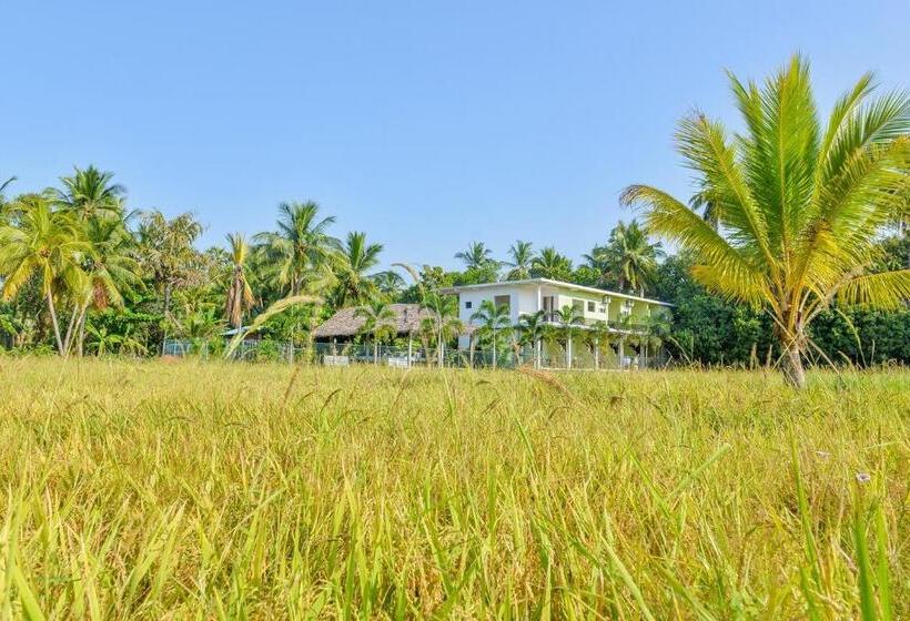 Отель Ancient Village