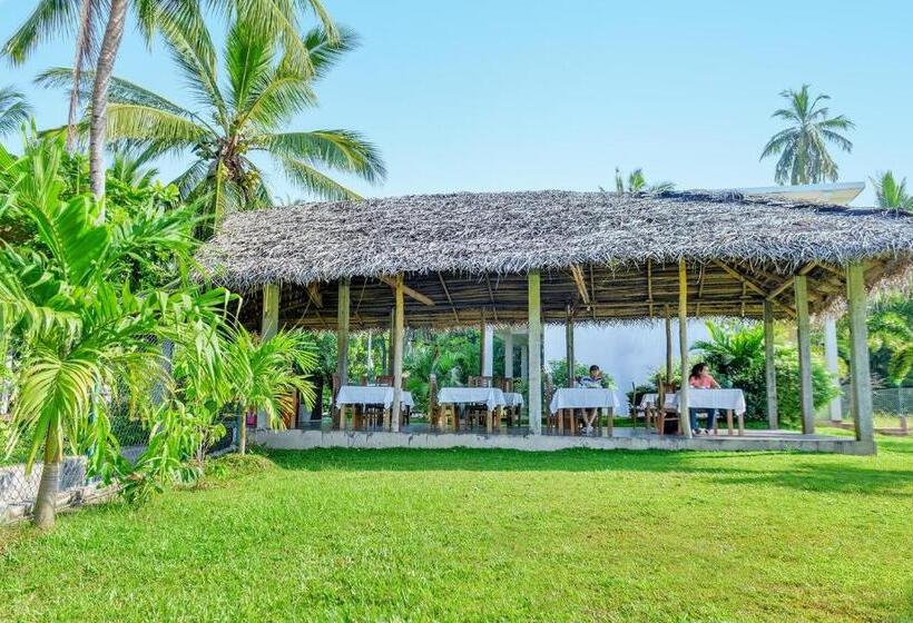 Отель Ancient Village