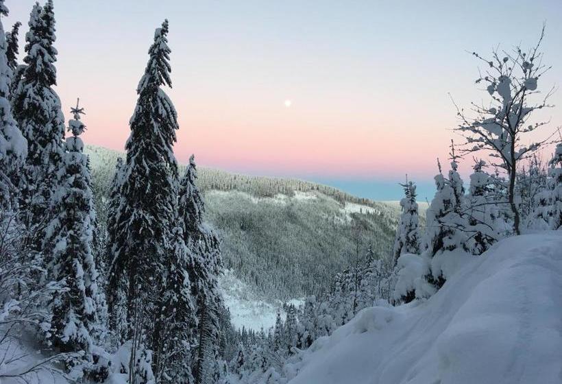 فندق Astoria With Private Skibus