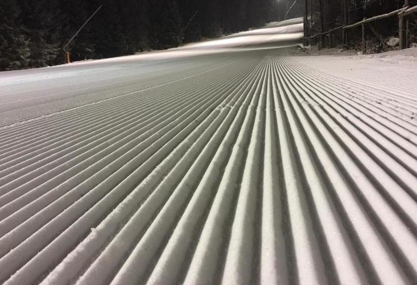 فندق Astoria With Private Skibus