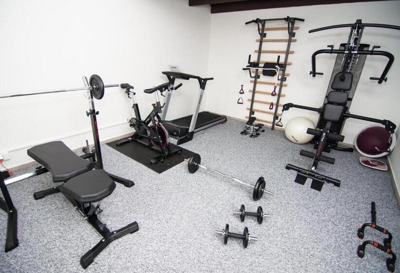 בית מלון כפרי Freud