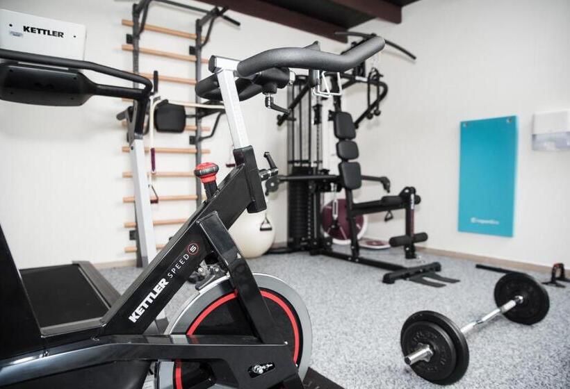 בית מלון כפרי Freud