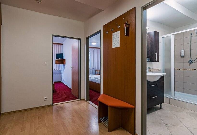 ホテル Garni Všb