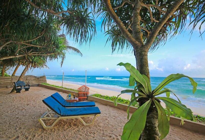 ホテル Haus Am Meer Wilde Ananas