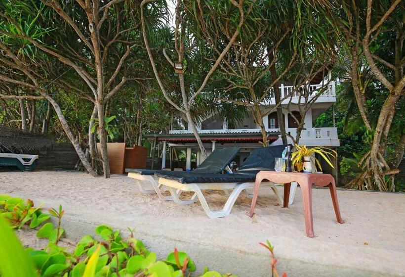 ホテル Haus Am Meer Wilde Ananas