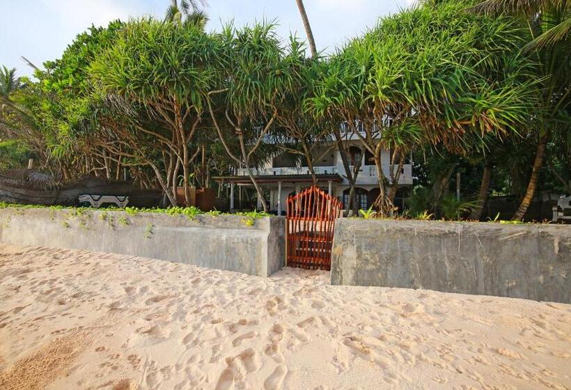 ホテル Haus Am Meer Wilde Ananas