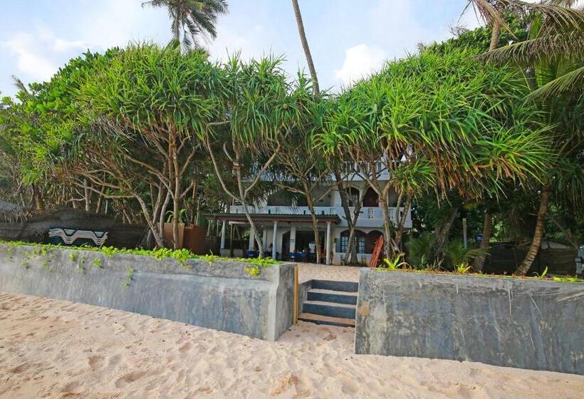 ホテル Haus Am Meer Wilde Ananas