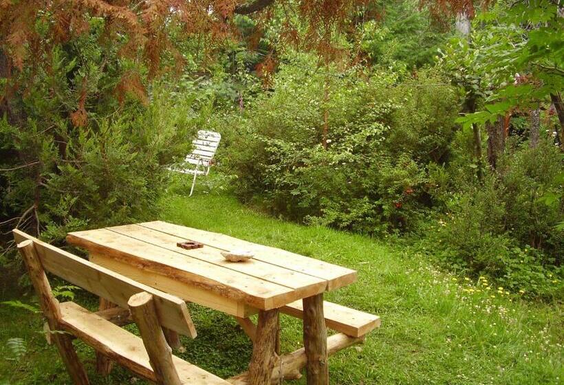 ホテル Hostería Brisas Del Cerro