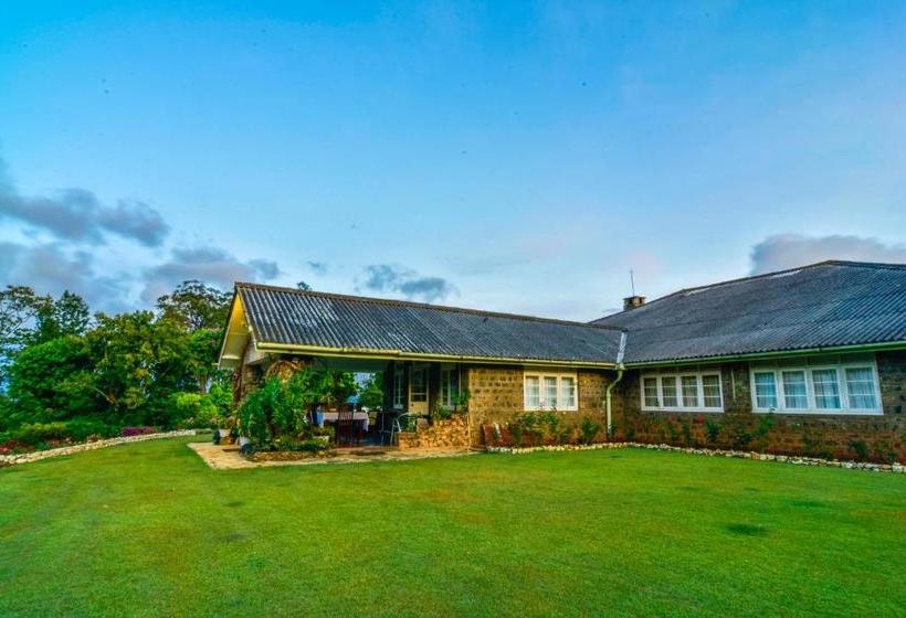 ホテル Kirchhayn Bungalow