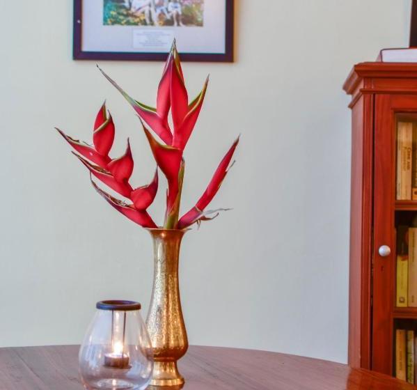 ホテル Kirchhayn Bungalow