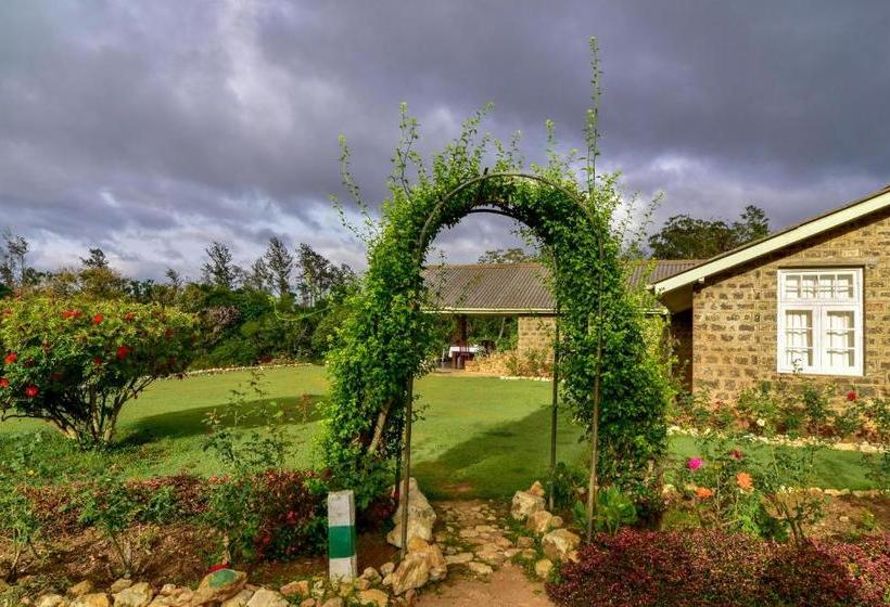 ホテル Kirchhayn Bungalow