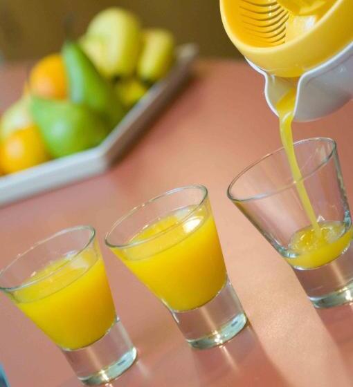 בית מלון כפרי Merlot