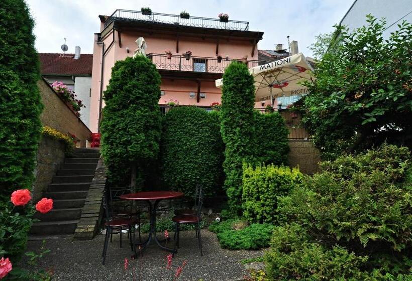 בית מלון כפרי Na Hradbách