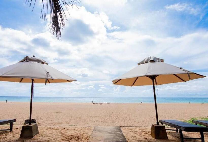 בית מלון כפרי Nico Beach