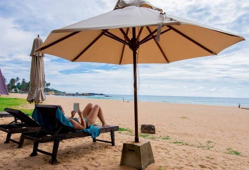 בית מלון כפרי Nico Beach