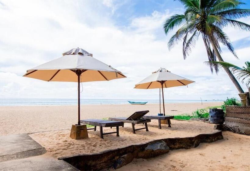 בית מלון כפרי Nico Beach