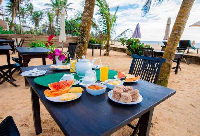 בית מלון כפרי Nico Beach