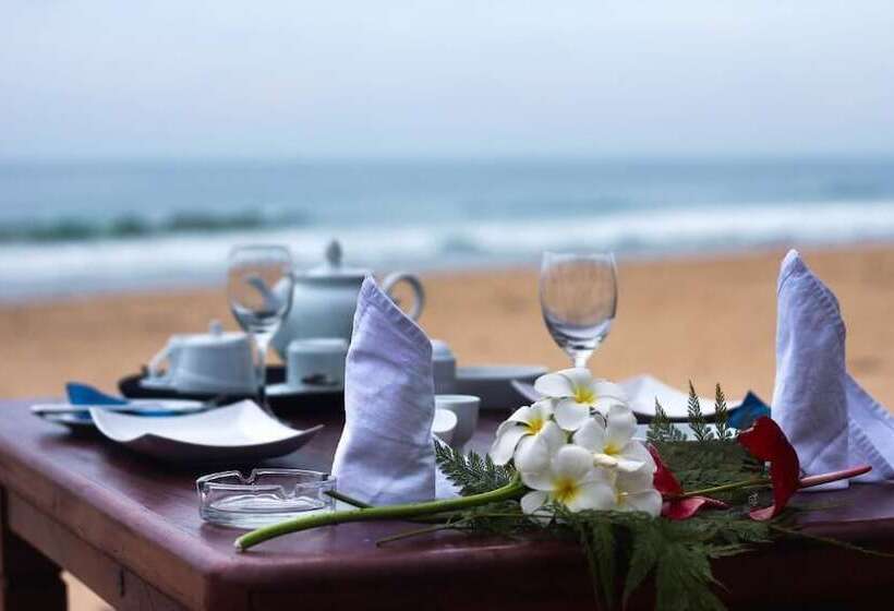 בית מלון כפרי Nico Beach