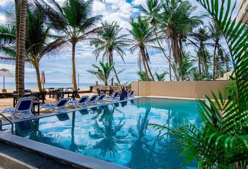 בית מלון כפרי Nico Beach