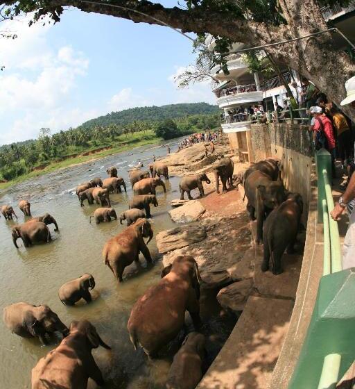 호텔 Pinnalanda   New Deal! Half Off Airport Pickups Available