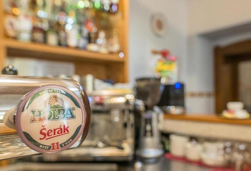 فندق Praděd Thamm