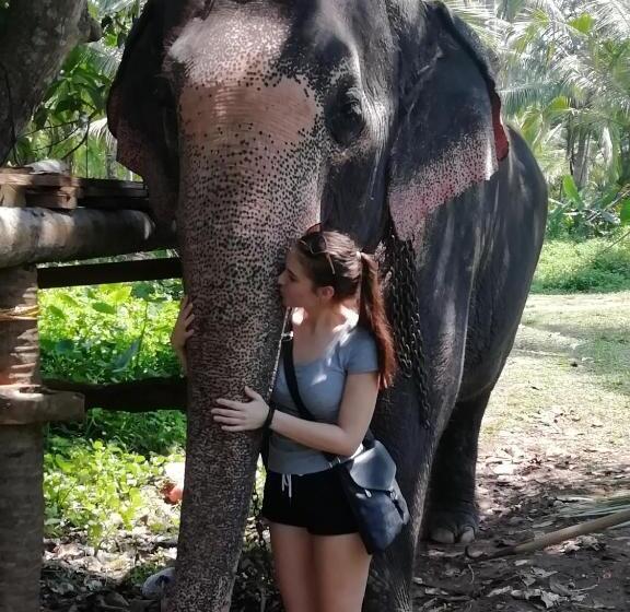 בית מלון כפרי Rainbow Beach