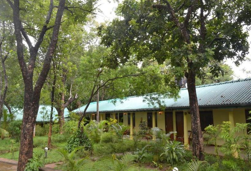 ホテル Prince Villa Sigiriya