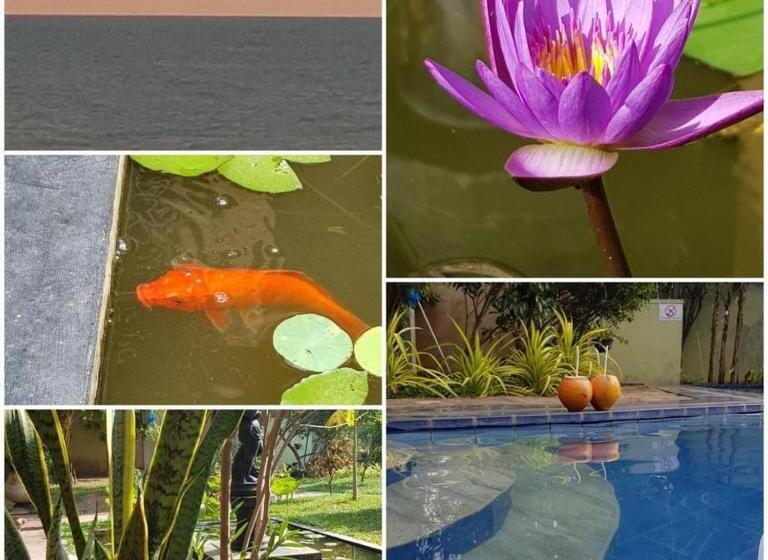 Отель Solomon Beach