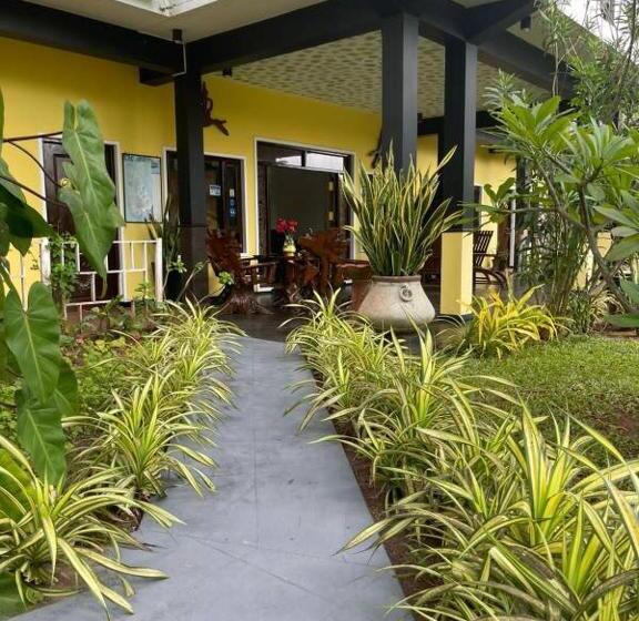 Отель Solomon Beach