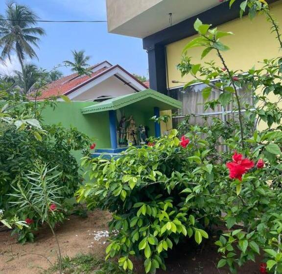 Отель Solomon Beach