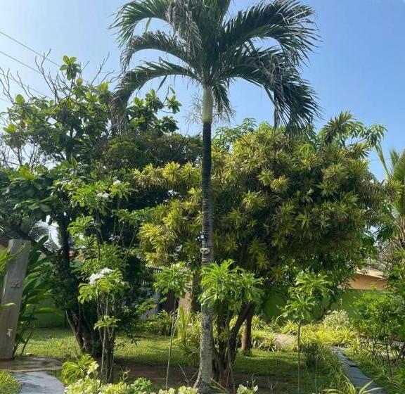 Отель Solomon Beach