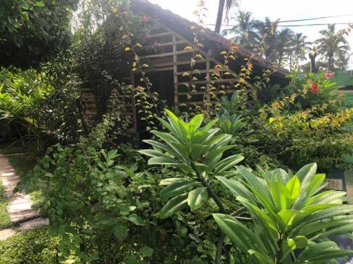 Отель Solomon Beach