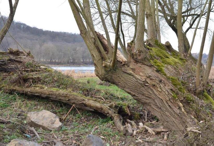 ホテル Stará Pošta