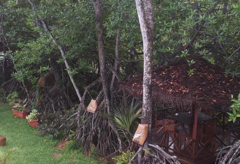 ホテル The Mangrove Cave